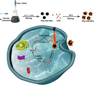 Synthesis of organic photothermal agents for combined photothermal/enzymatic dynamic therapy of breast cancer